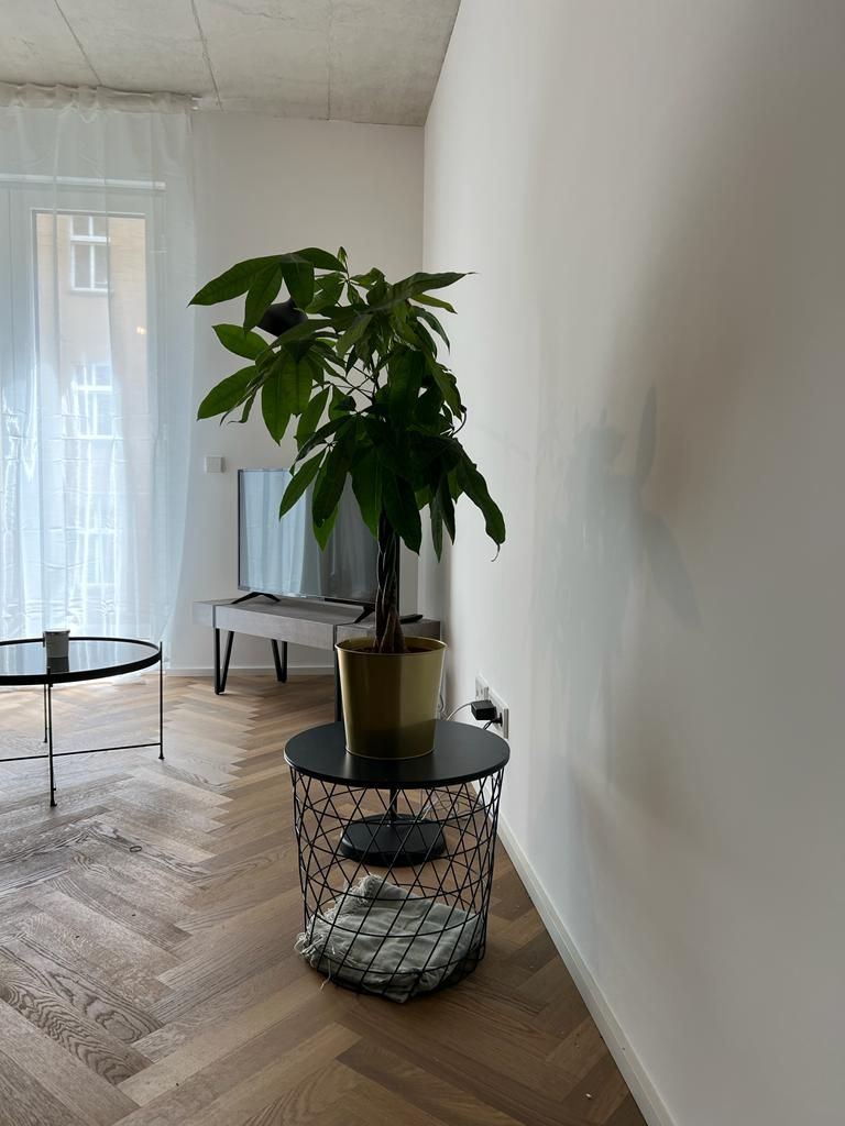 Fashionable & modern apartment in Prenzlauer Berg (Berlin)