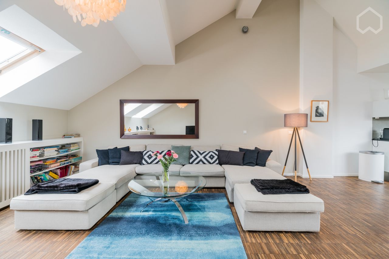 Spacious luxurious rooftop apartment with terrace in Berlin MITTE