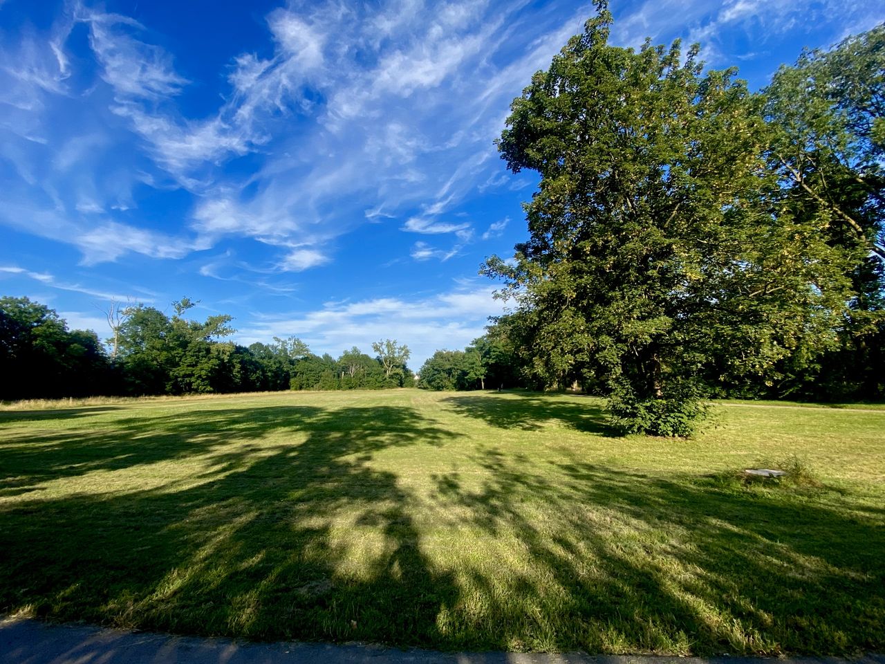 Peaceful paradise near the city centre