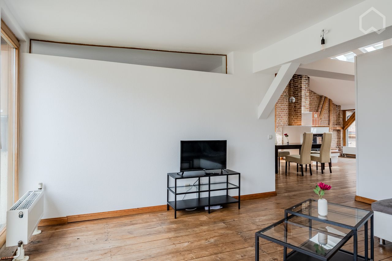 Large penthouse with roof terrace