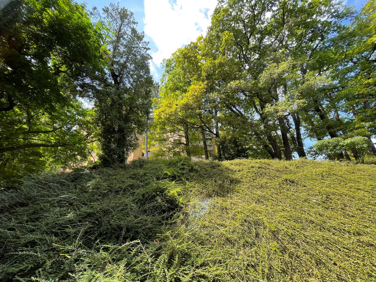 Idyllic flat in a quiet, green area in Neuwaldegg