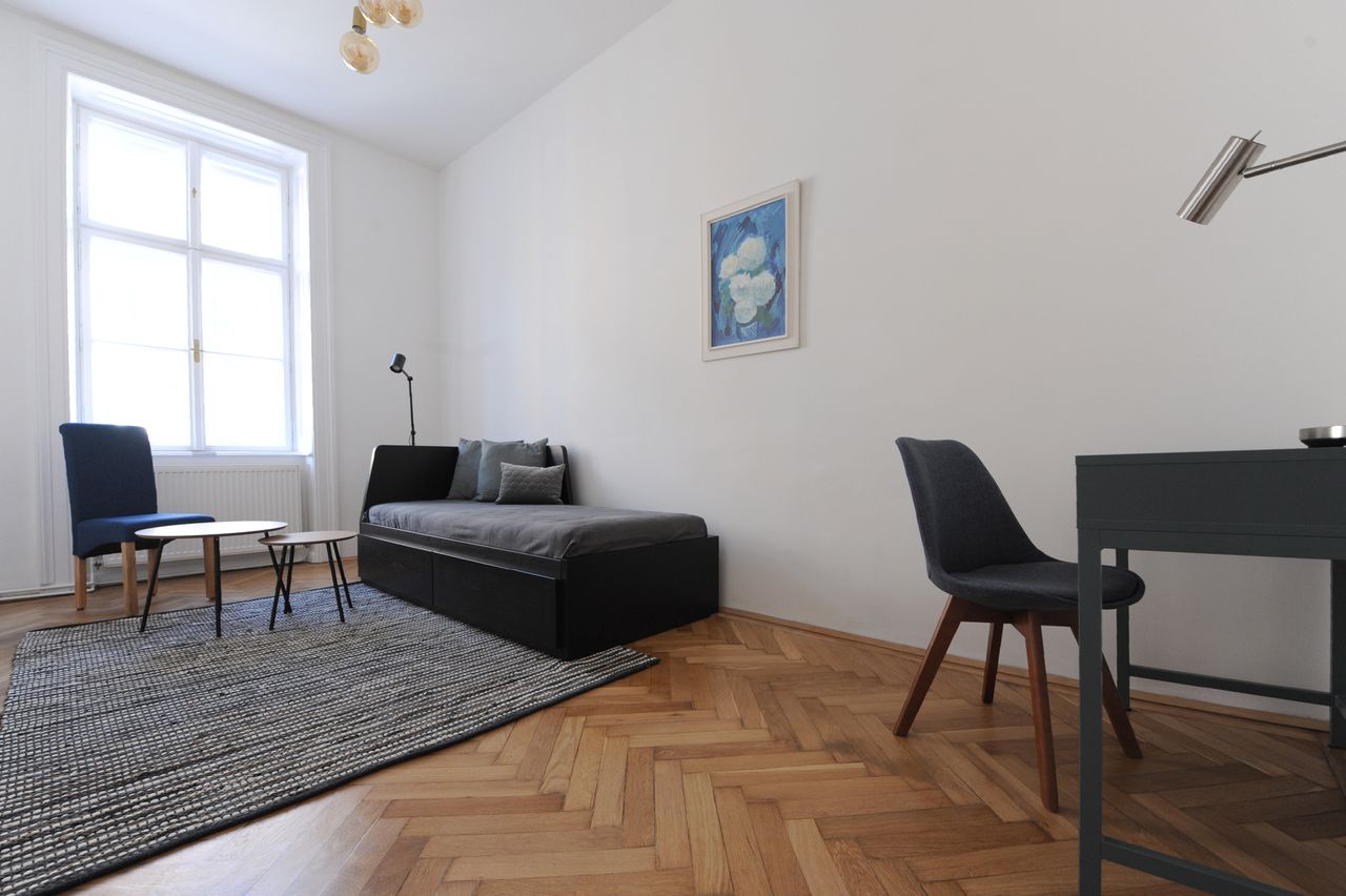 Beautiful, spacious apartment near the city center (Vienna)