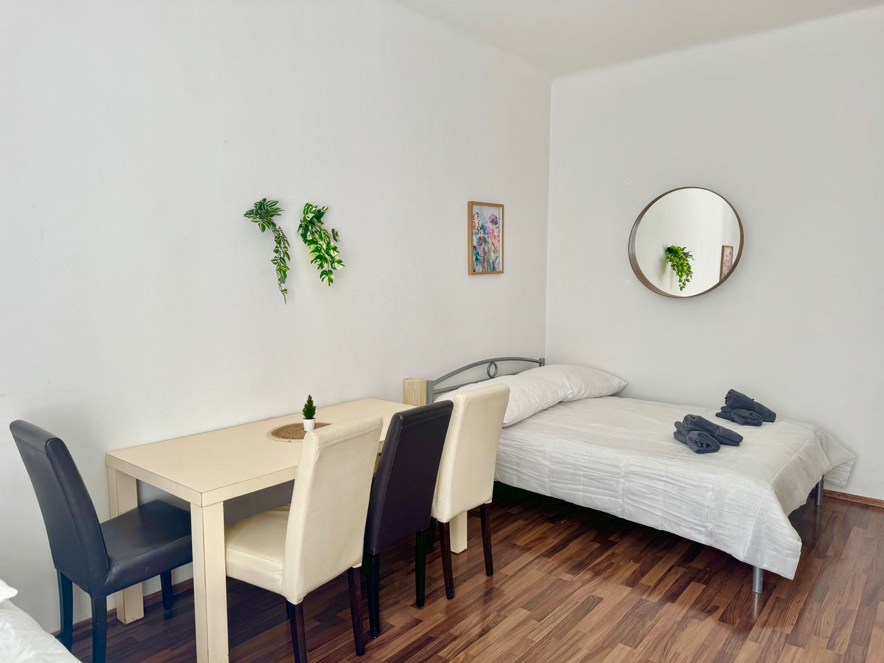 Beautiful & bright apartment in popular area