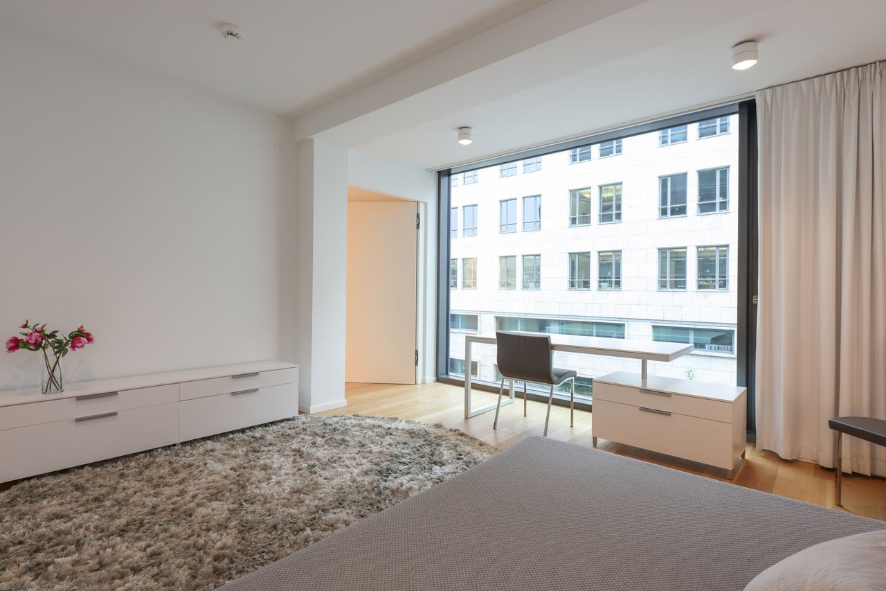 Fantastic and gorgeous loft in Berlin Mitte direct nearby Brandenburger Tor