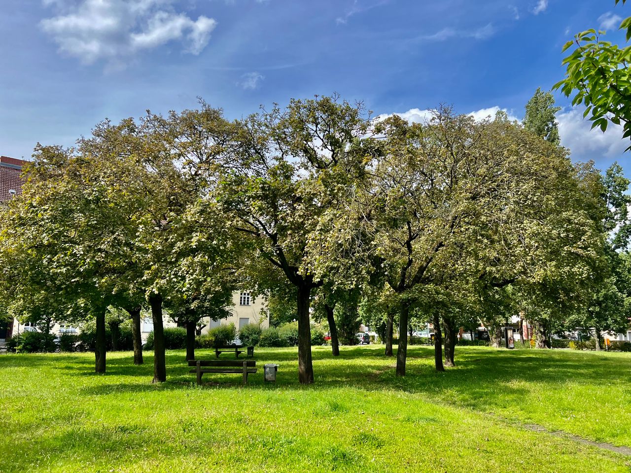 Tranquil Getway Just Steps from Tempelhofer Feld