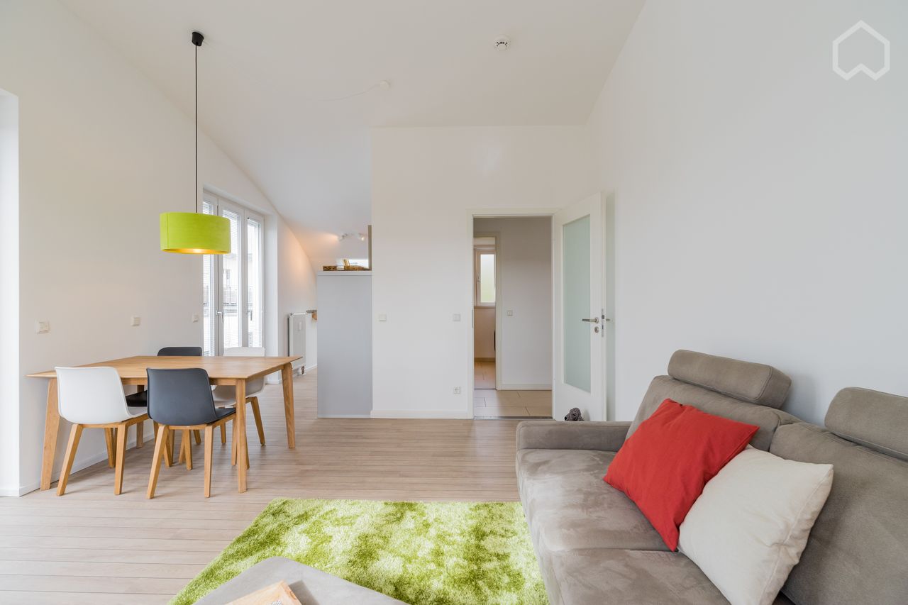Quiet penthouse with large roof terrace in the heart of Berlin-Mitte