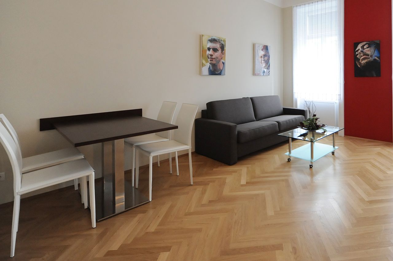 Beautiful, modern apartment near city center (Vienna)