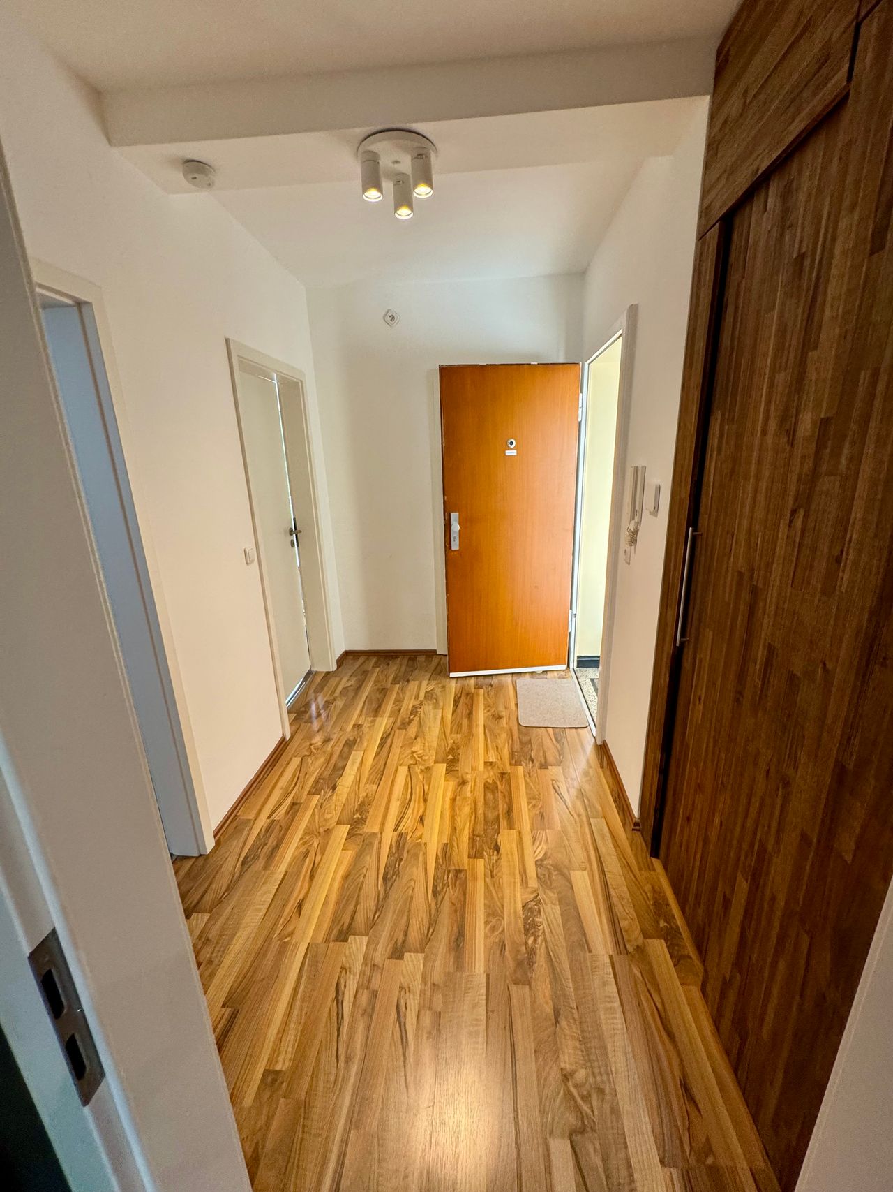 Beautiful Newly Renovated 2-Room Apartment with Large & sunny Balcony in Cologne – First Occupancy!