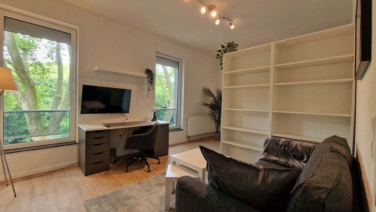 Elfriede3: renovated quiet apartment in GE for rent
