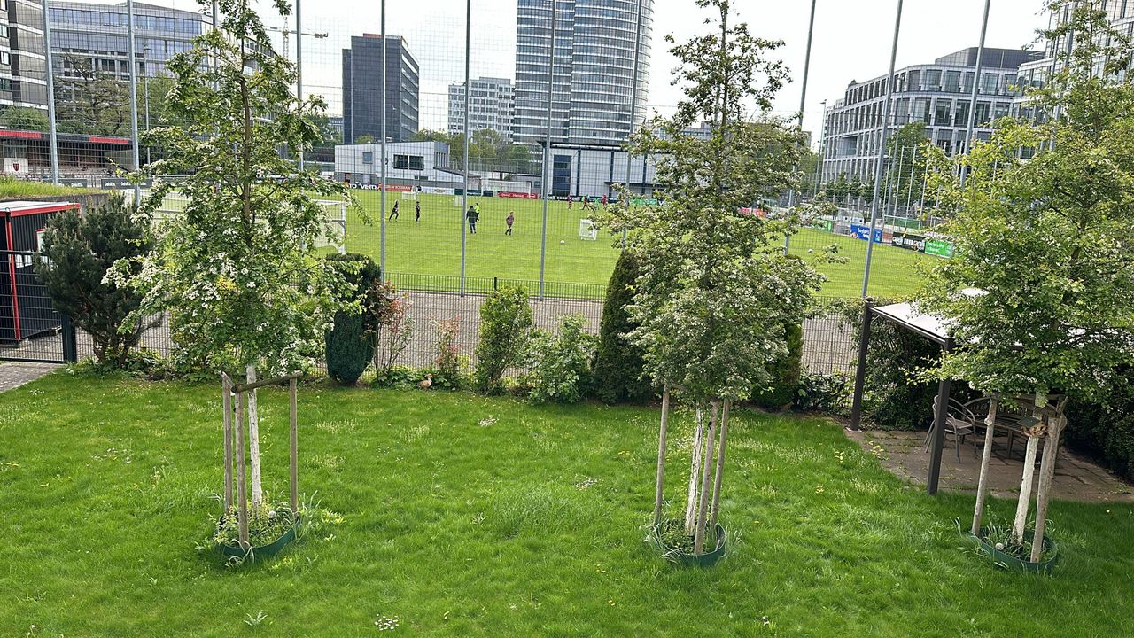Modernized Ground Floor Apartment in Düsseldorf – Prime Location!