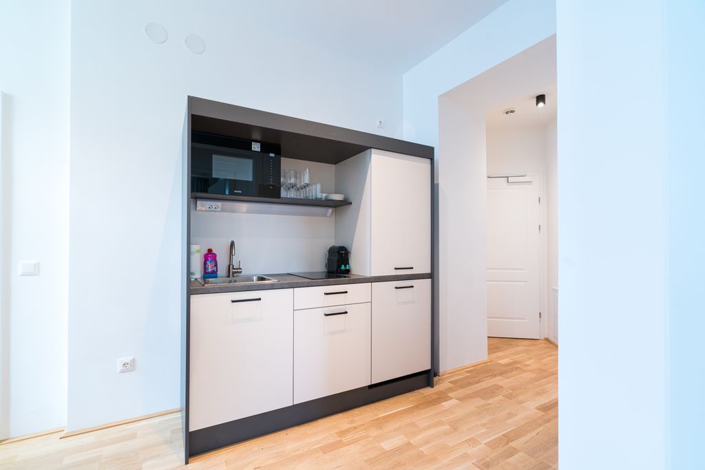 Stylish Studio Apartment in a completely renovated Viennese "Altbau"