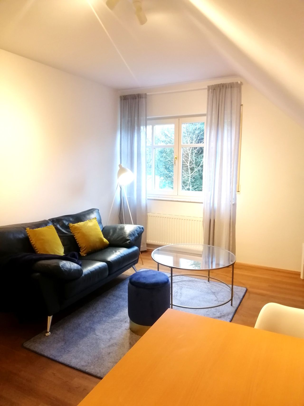 Great furnished and newly renovated apartment with excellent connection to public transportation