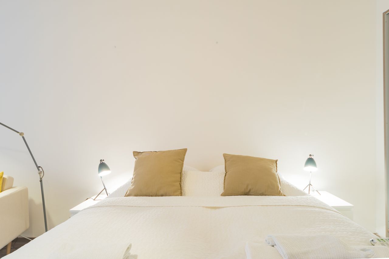 1-ROOM APARTMENT IN CENTRAL BERLIN MITTE