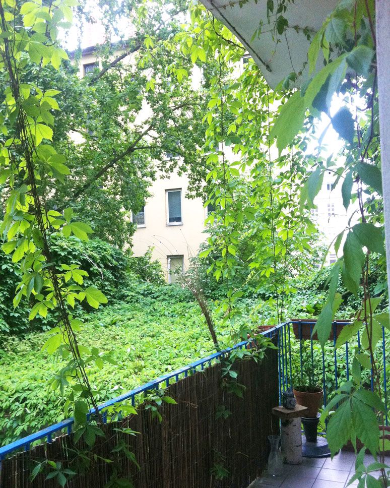 Quiet, green 2-room apartment in Kreuzberg 36 with balcony