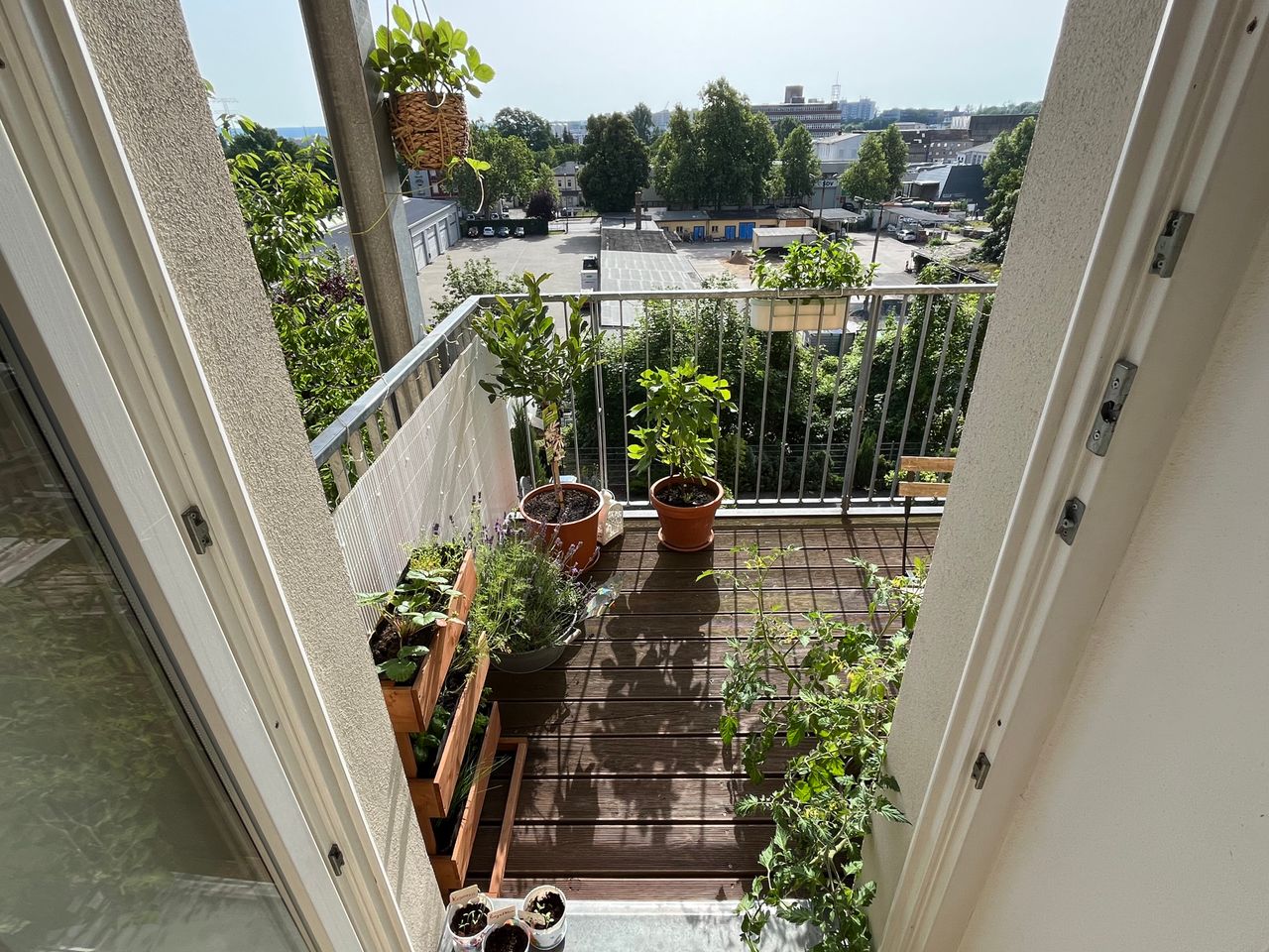 Cosy, green and quiet flat in the centre of Dresden