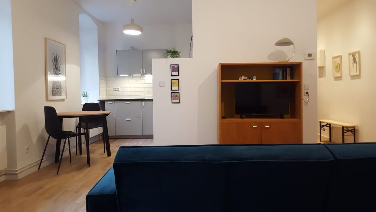 Elegant 2 room flat with a terrace in Prenzlauer Berg