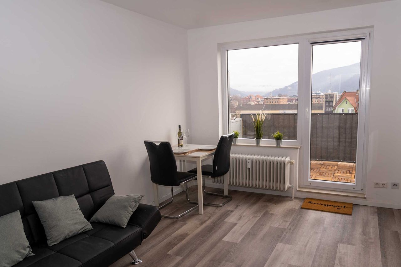 Fully stocked apartment with balcony facing Heidelberg Castle