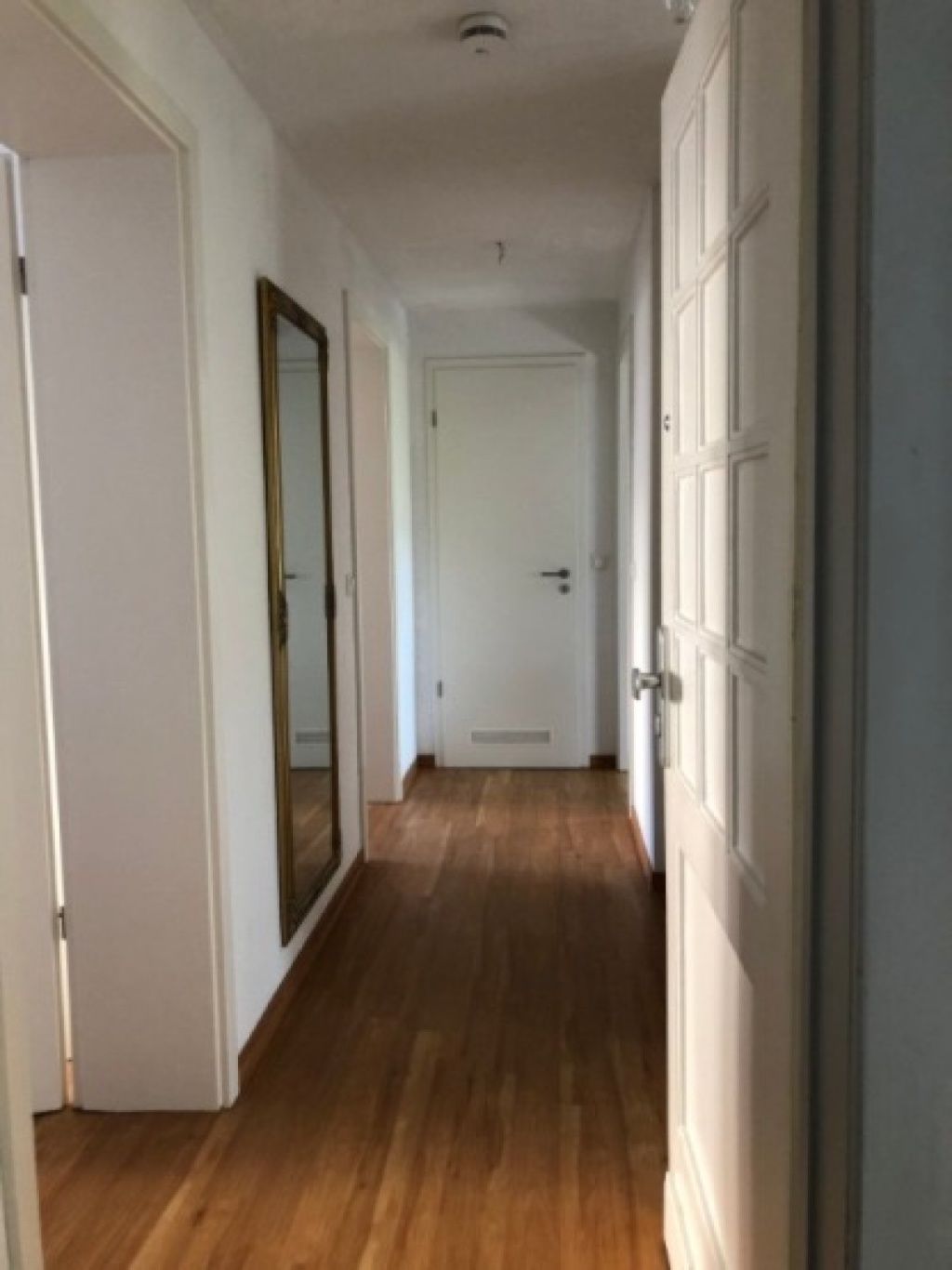 2 Room Apartement in Düsseldorf
