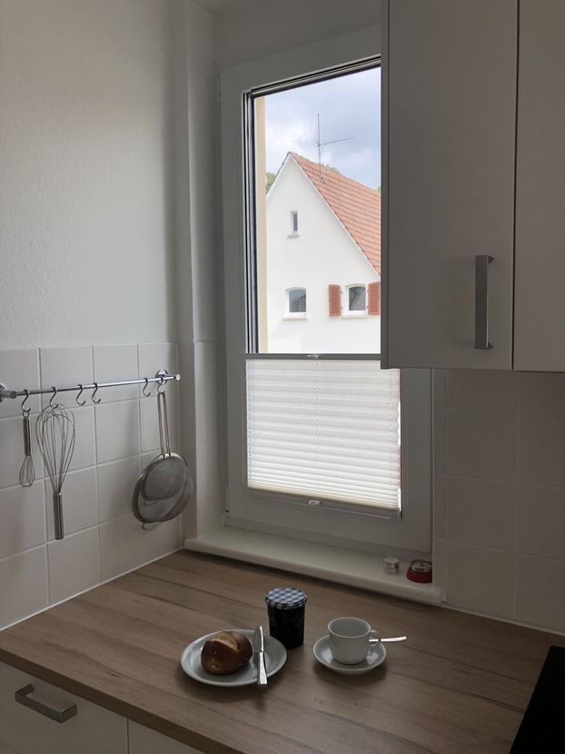 Comfortable home super central and quiet in Heidelberg-Neuenheim