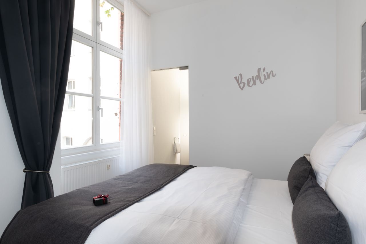 Spacious and lovely apartment (Mitte)