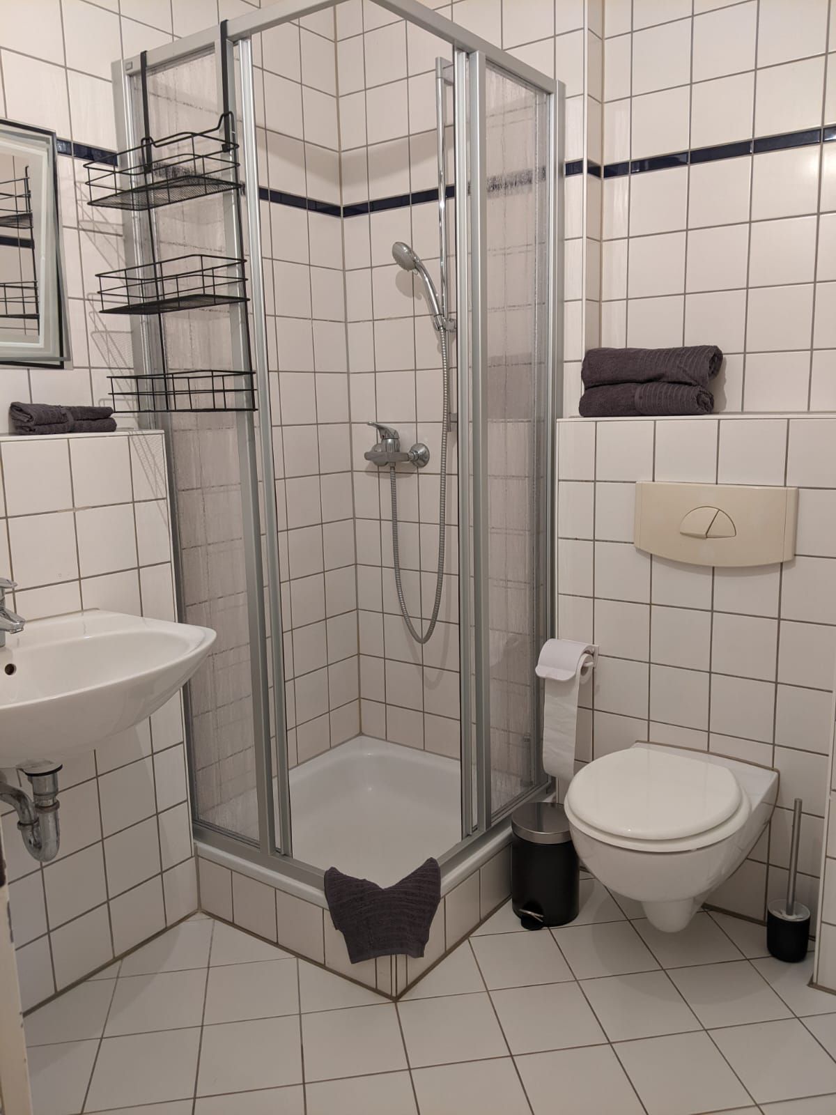 Spacious & new suite (Dresden)