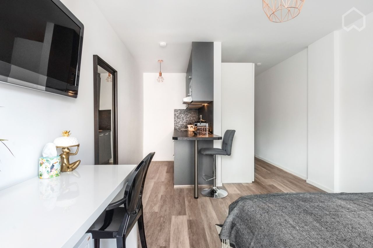 Renovated modern studio in Frankfurt am Main with balcony, kitchen, full furnished, good located