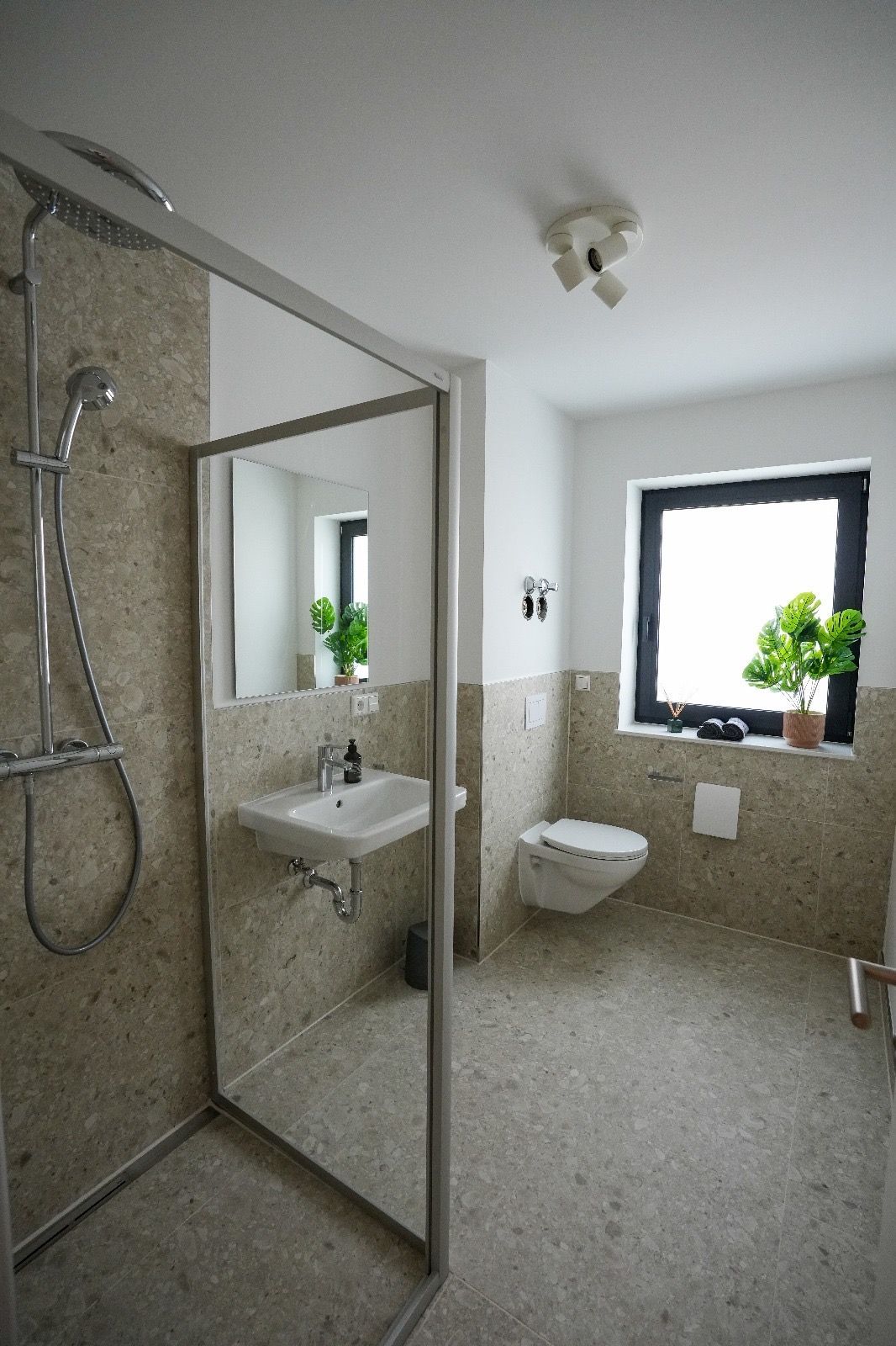 Shared living in newly renovated flat