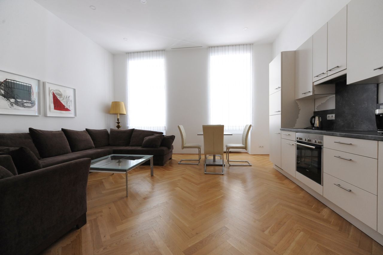 Beautiful, modern apartment near city center (Vienna)