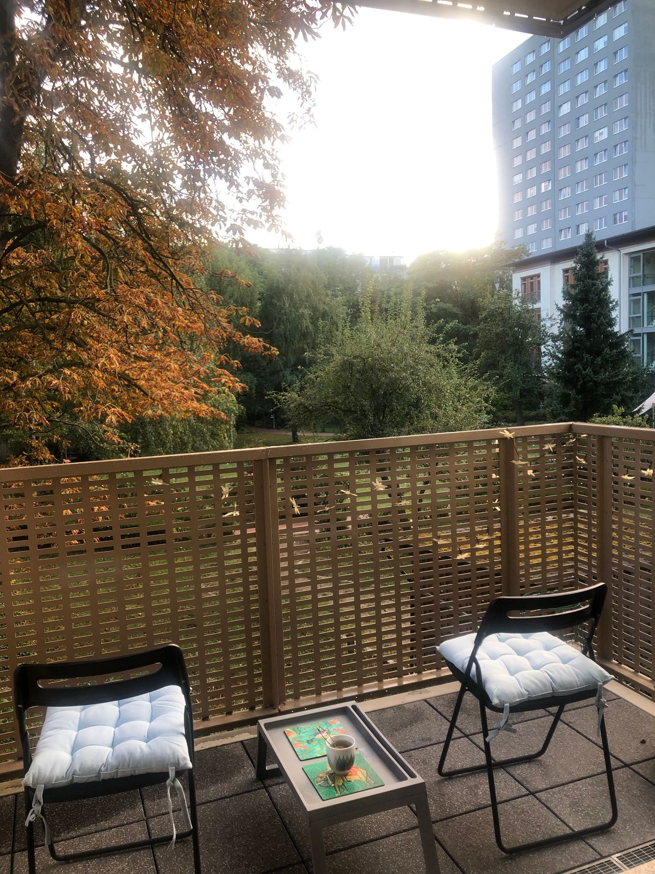 Central Friedrichshain flat overlooking beautiful garden