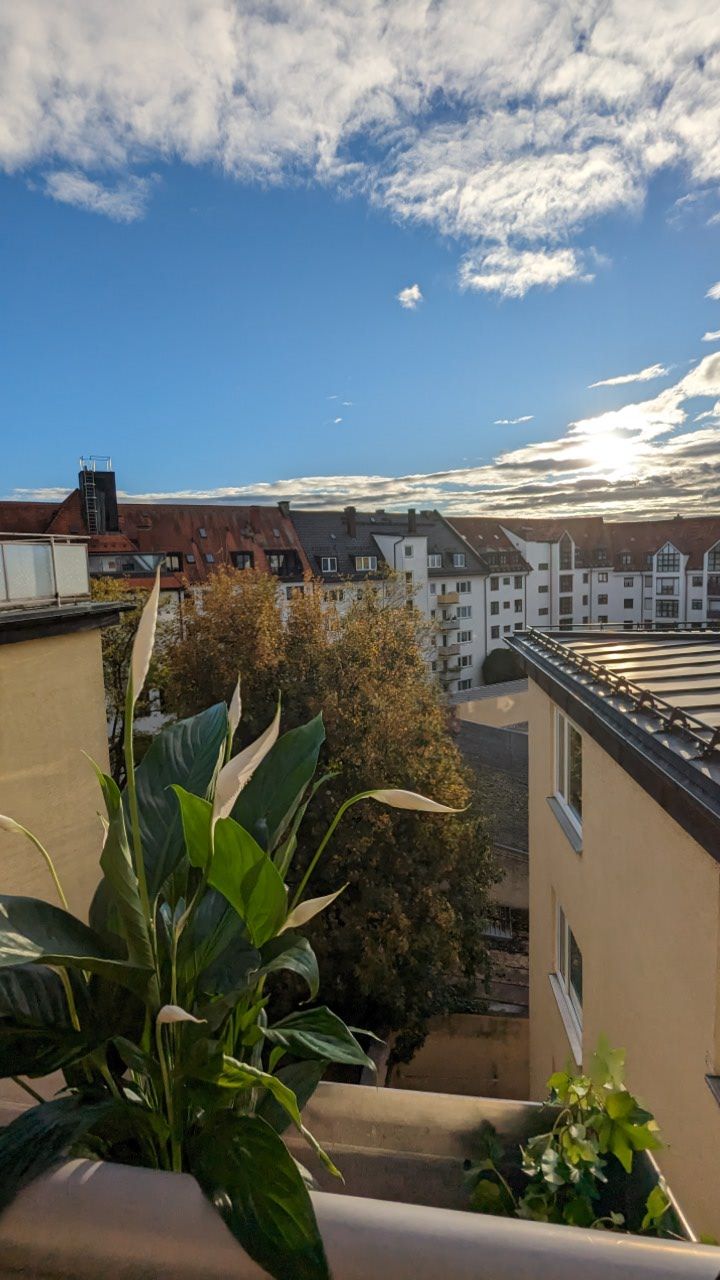 Dachgeschoß - West - Balkon, schöne helle 3-Zimmer-Wohnung mit EBK, möbliert