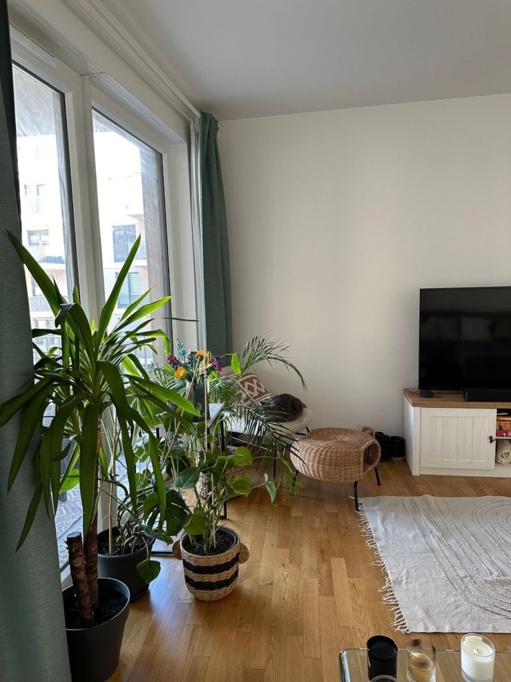 Beautiful cozy 2 room flat in the heart of Mitte