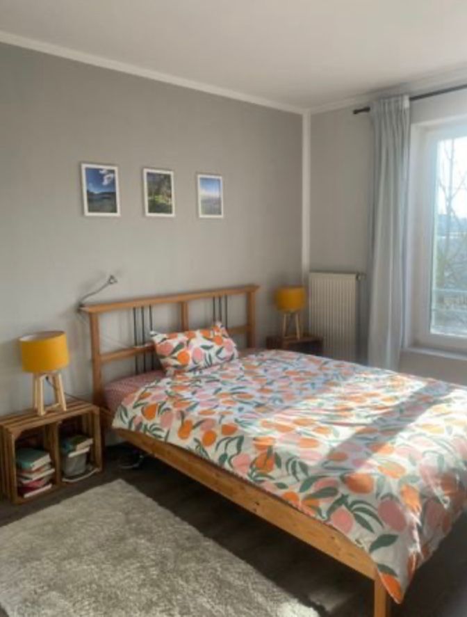 3 months || Bright flat for temporary rent in Dresden-Mickten (1 December 2024 - 28 February 2025)