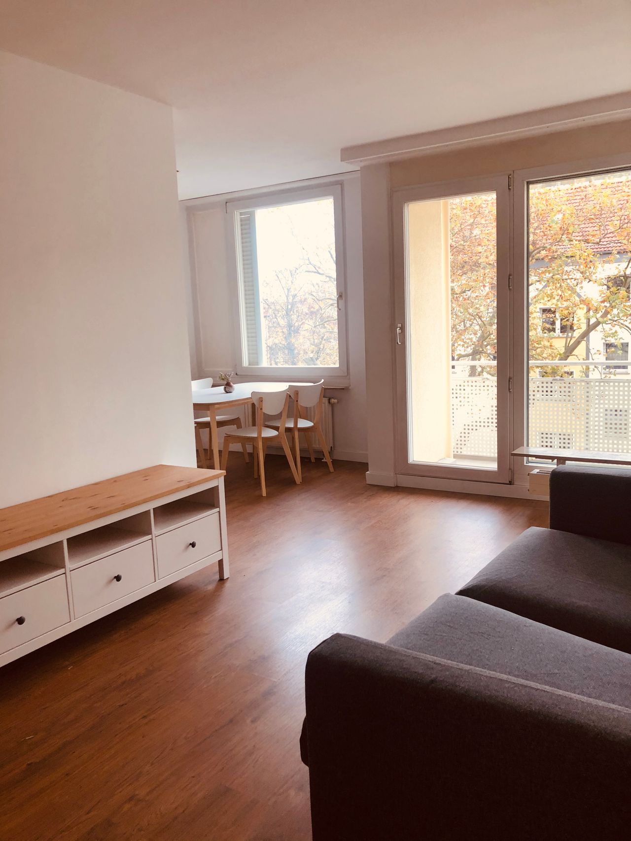 Bright, fully furnished apartment located in Wilhelmsruh