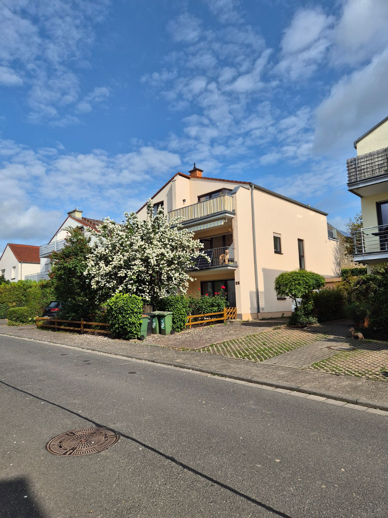New suite in Mainz