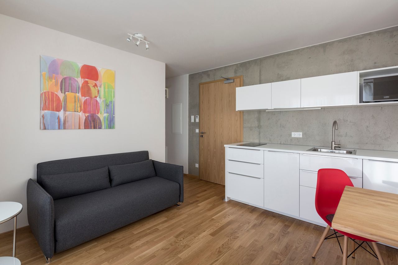 2-room premium apartment in Nürnberg