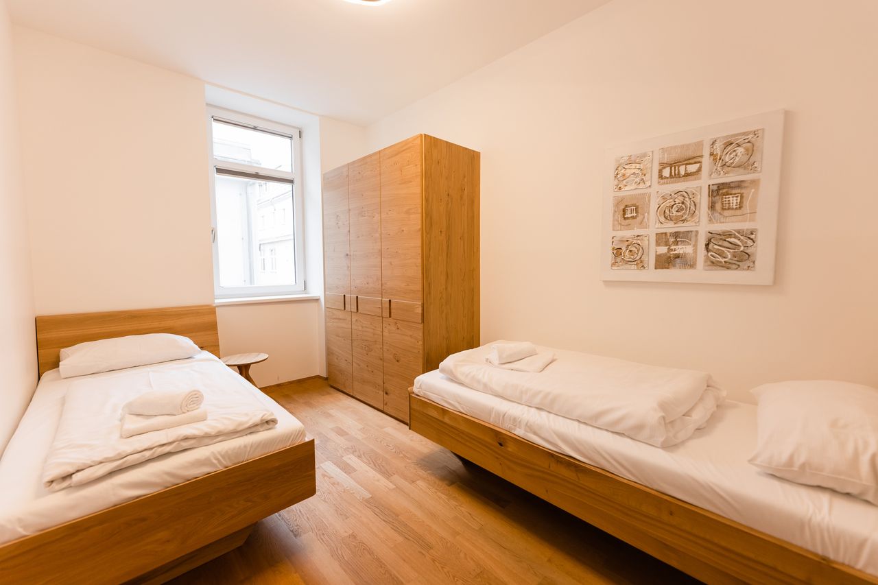 Spacious and comfortable flat for groups in Vienna