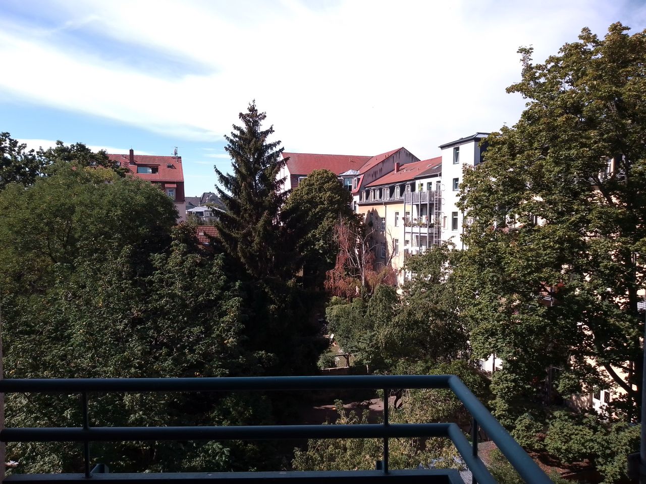 Apartment between Rosengarten and Neustadt with balcony