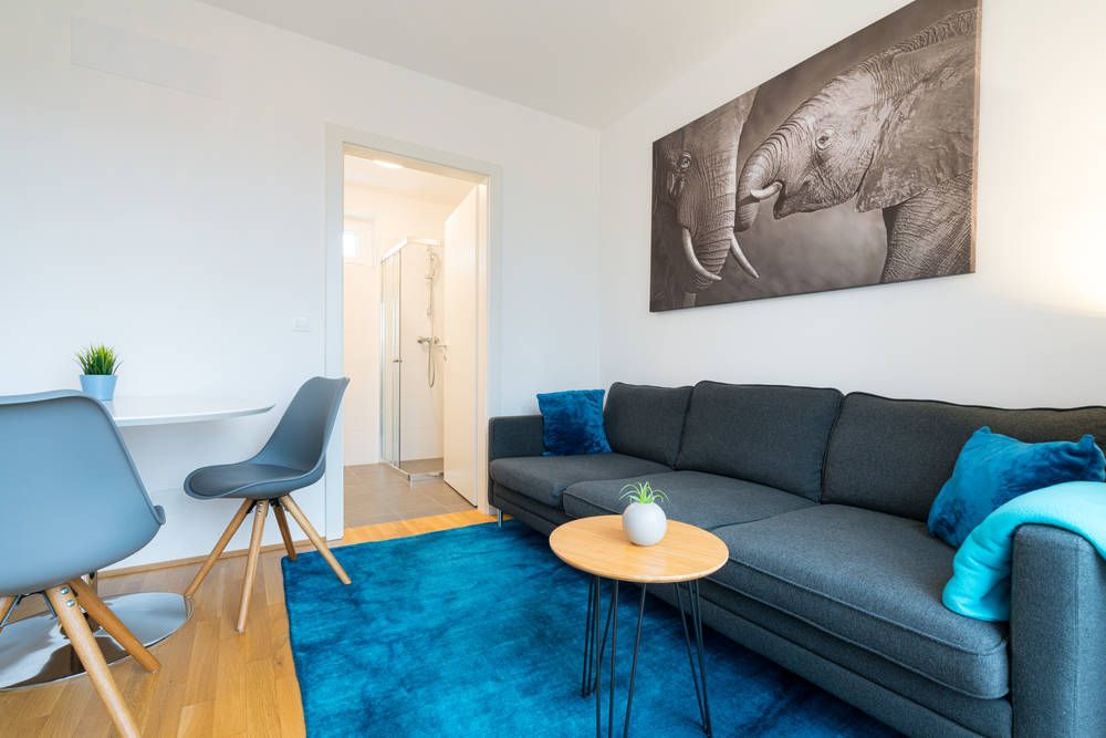 Comfortable business apartment nearby Vienna International Center and U.N.