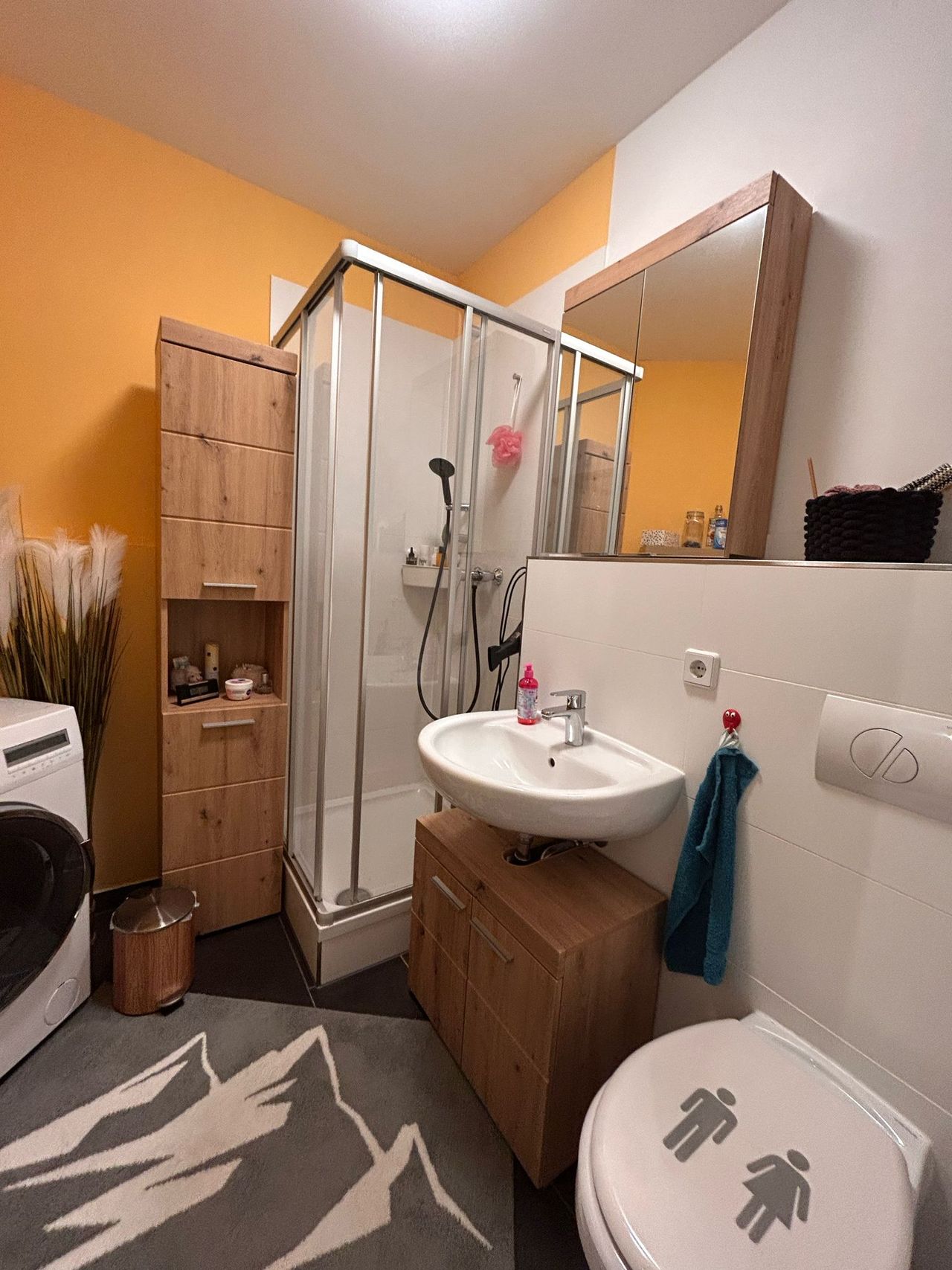 Fully furnished 2-room apartment, 20m² terrace, view, garage