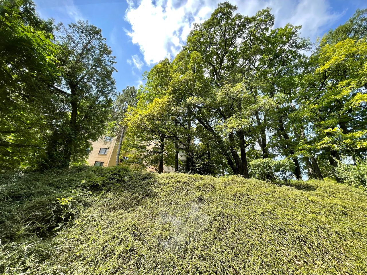 Idyllic flat in a quiet, green area in Neuwaldegg