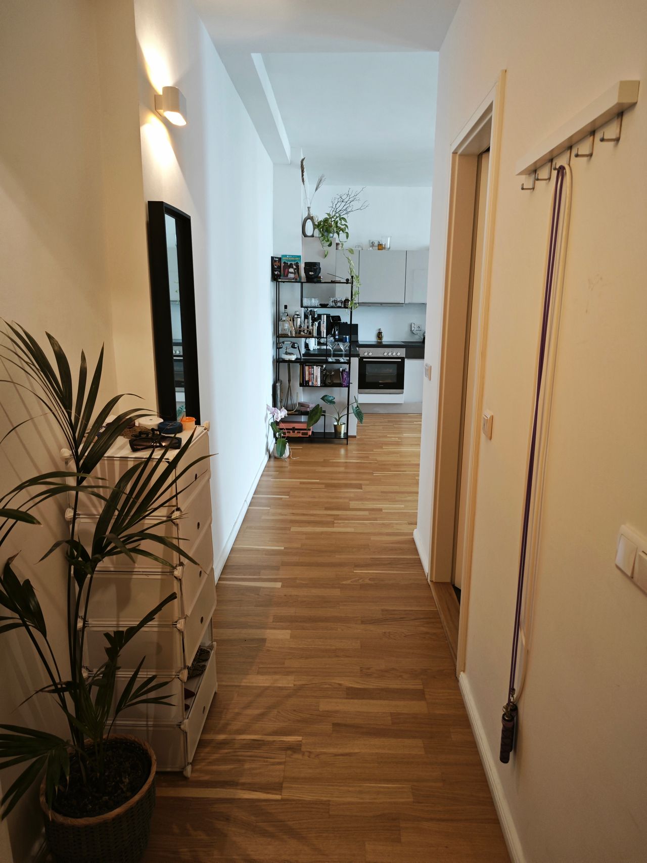 Modern city apartment in Mitte