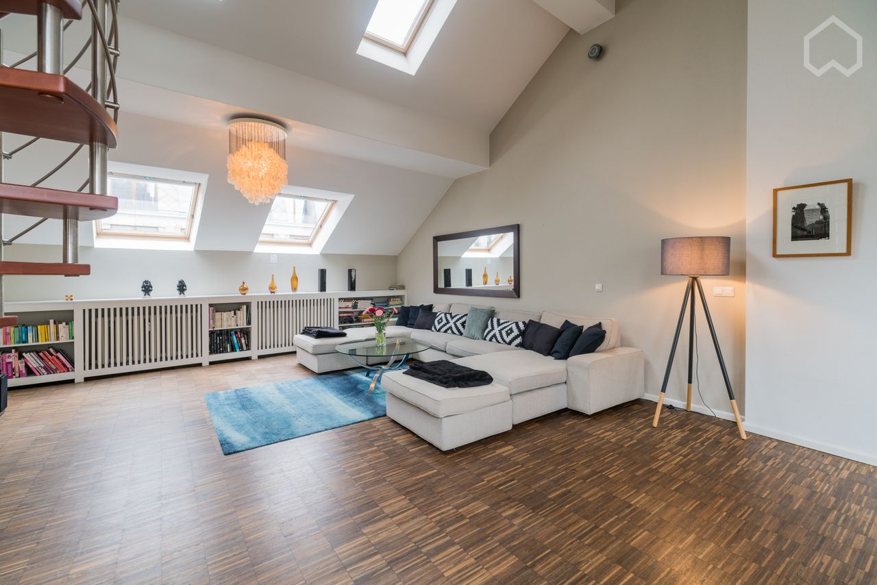 Spacious luxurious rooftop apartment with terrace in Berlin MITTE