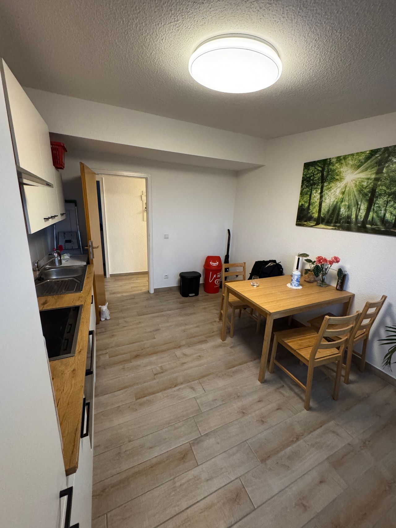 Spacious, gorgeous apartment (Köln)