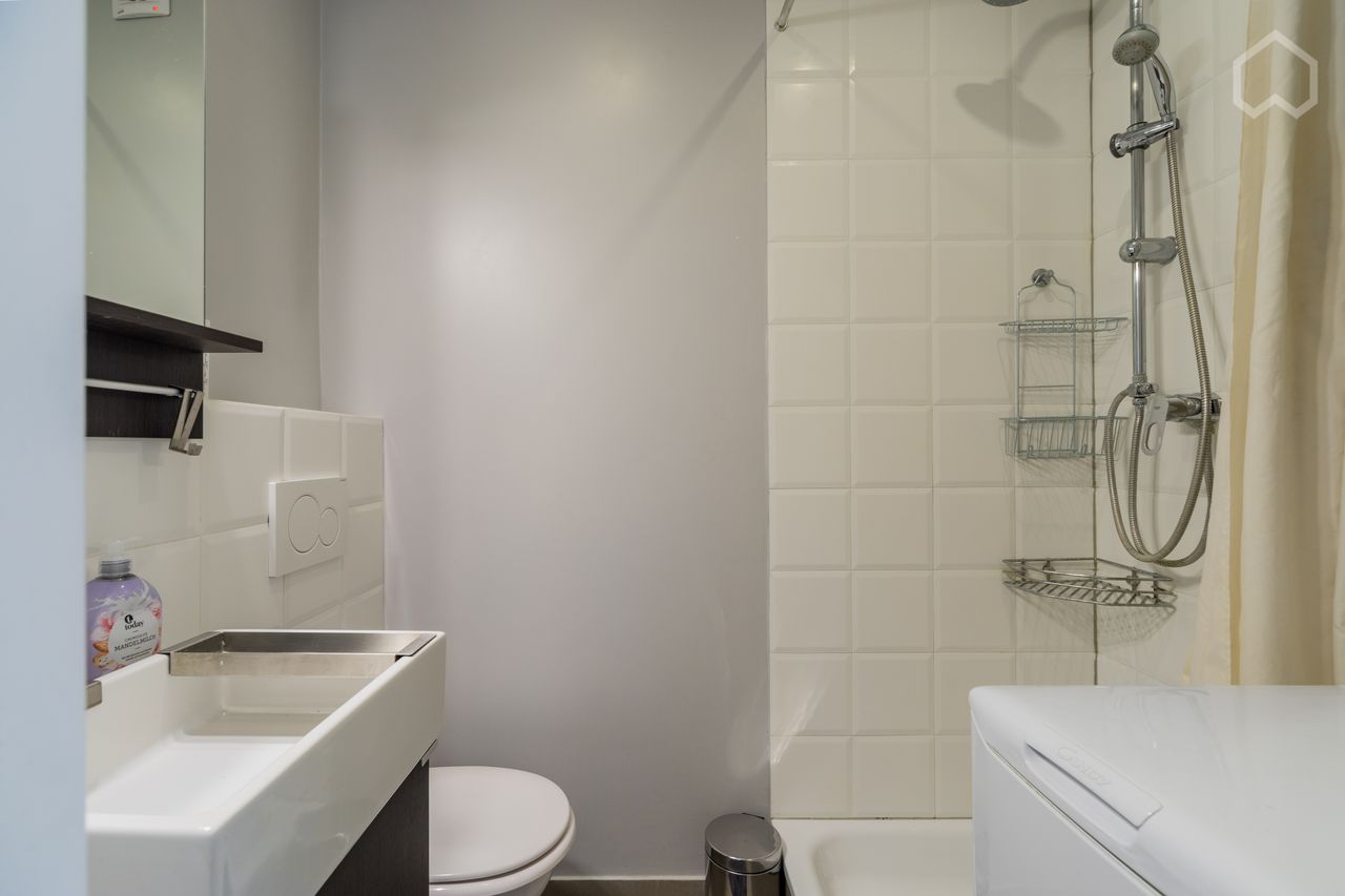 Fantastic apartment with excellent facilities in the middle of Prenzlauer Berg (Berlin)