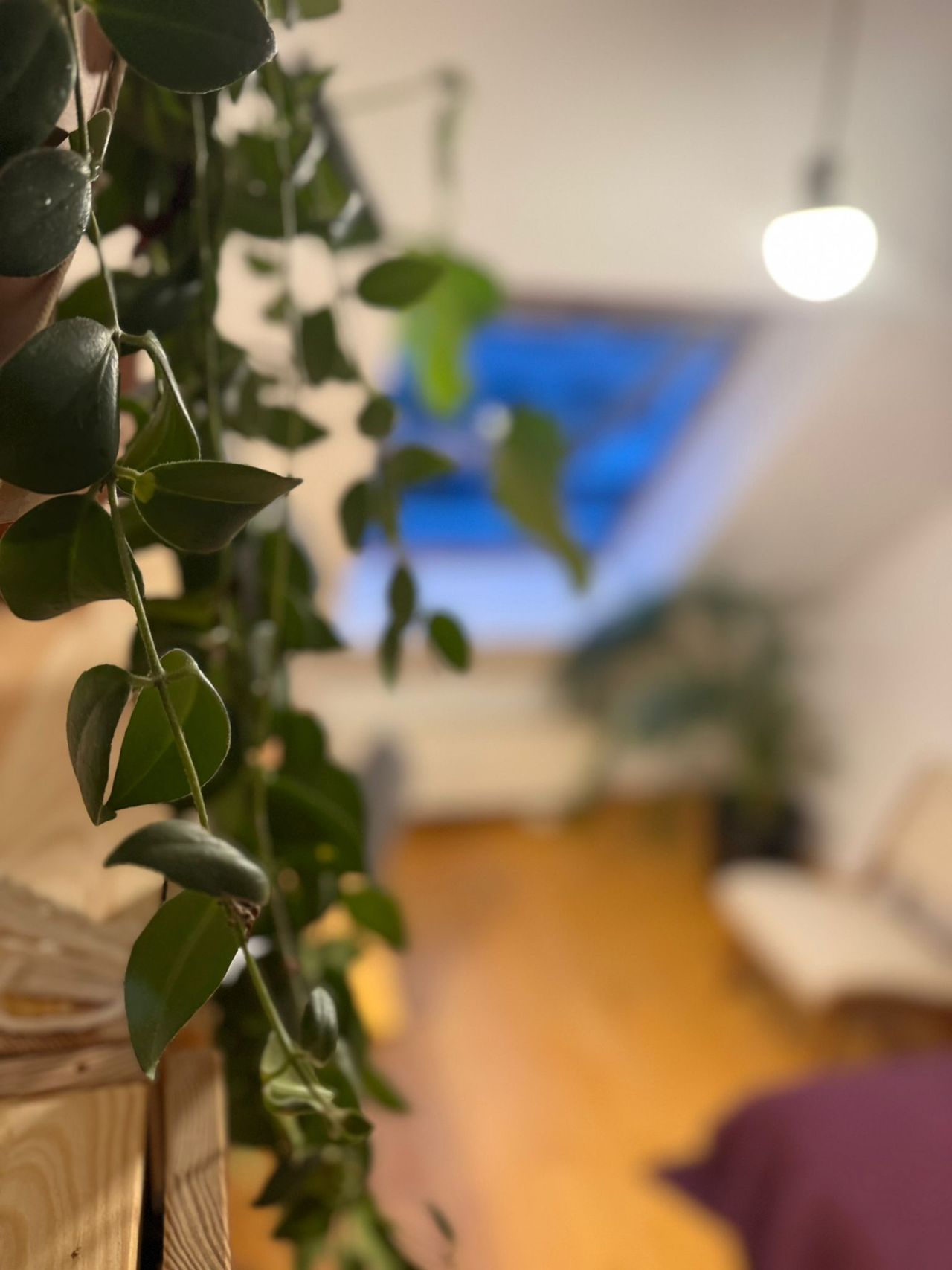 Fully Furnished 2-Bedroom Apartment in Berlin-Mitte