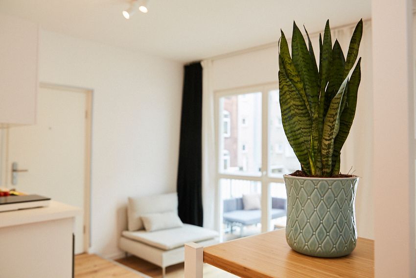 Wonderful Apartment - Hack yourself: Biohacking Apartment in organ factory around the corner from the Rhine