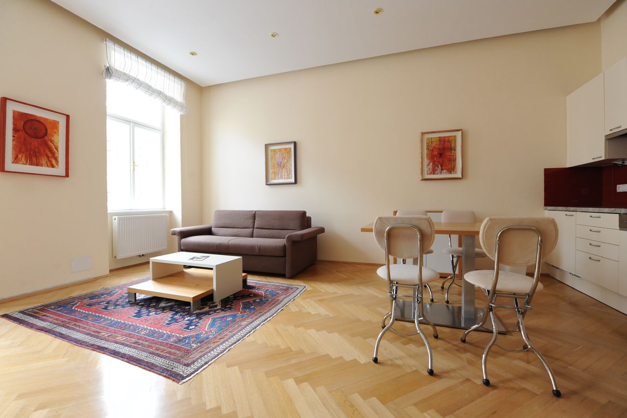 Beautiful, modern apartment near city center (Vienna)