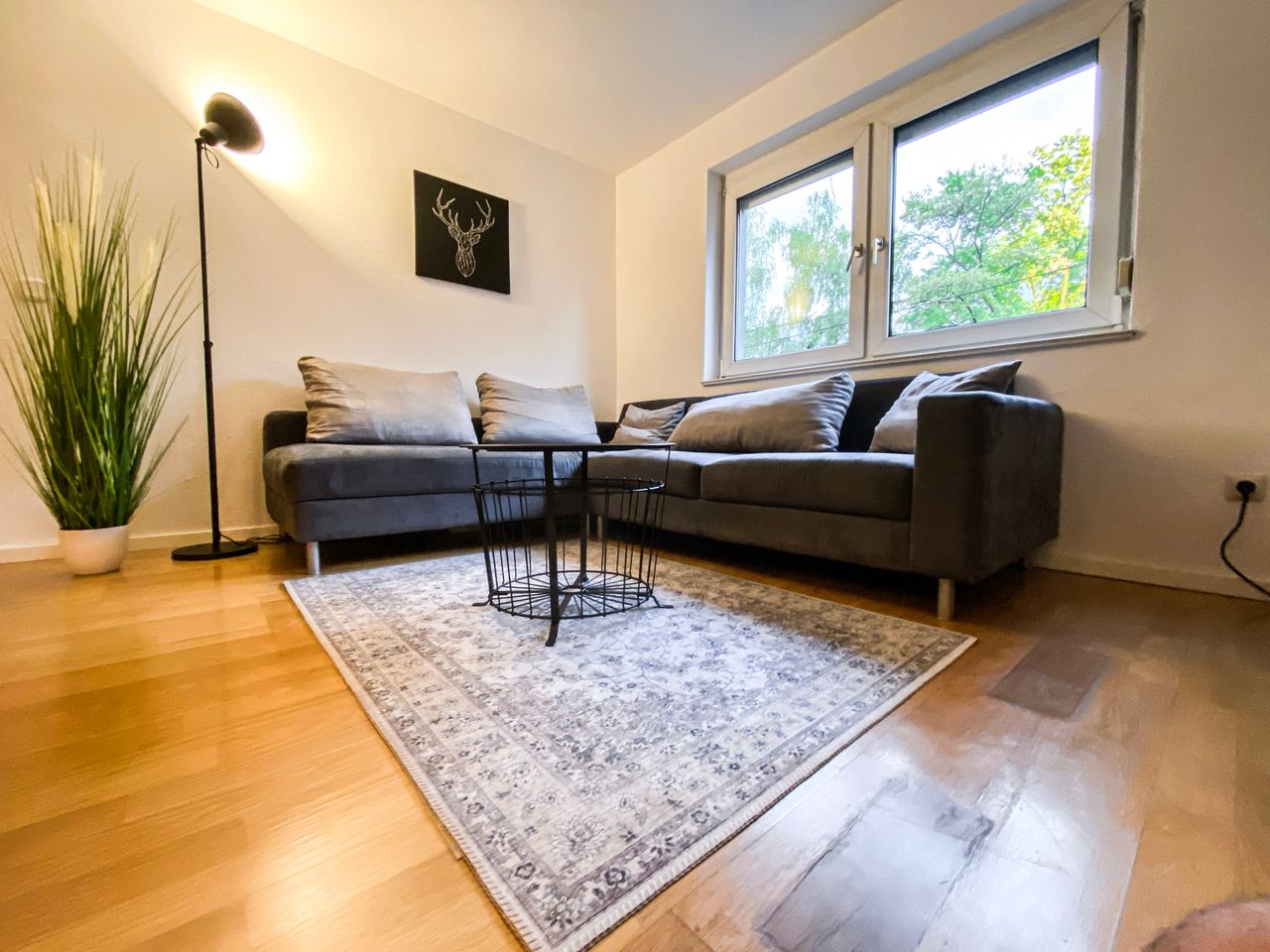 Gorgeous & spacious apartment