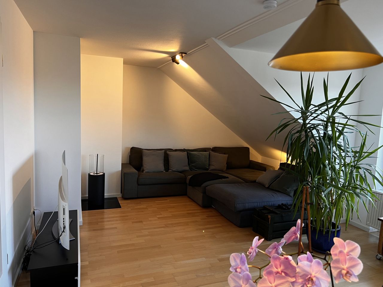 Cozy & charming loft in Munich with south-facing terrace incl. Garage parking