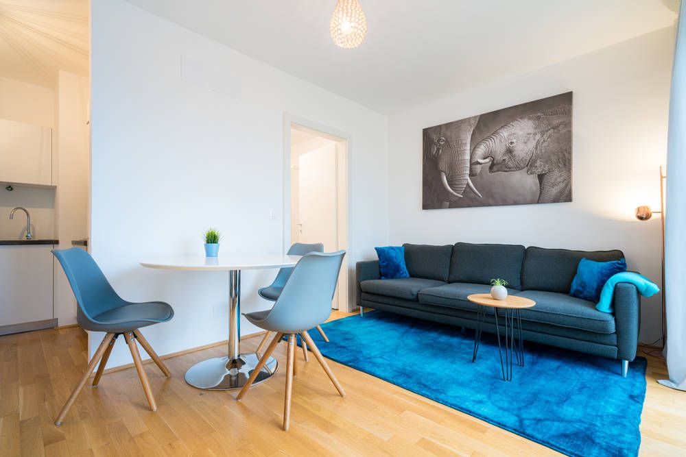 Comfortable business apartment nearby Vienna International Center and U.N.